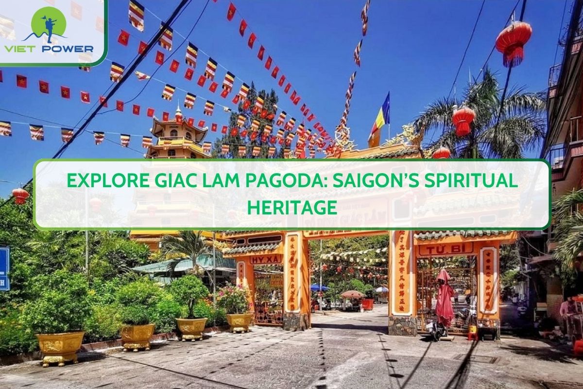Explore Giac Lam Pagoda: Saigon’s Spiritual Heritage