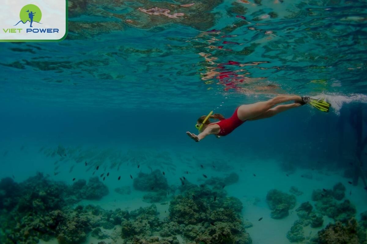 Diving around Cu Lao Cham in June