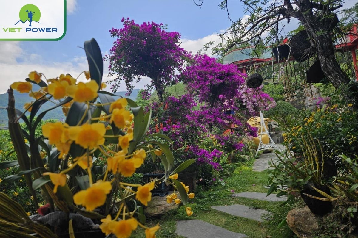 Spring is the right time to visit Sapa Green Valley