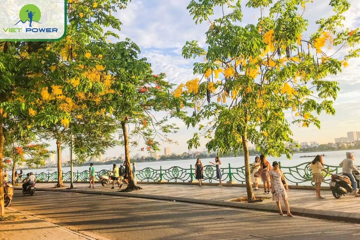 Walking Around the Lake