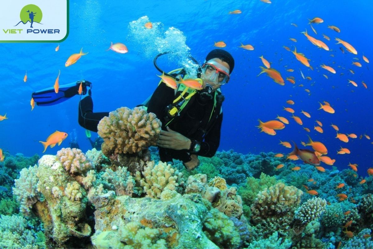 Trekking Son Tra Tinh Vien at Son Tra Nature Reserve Trails