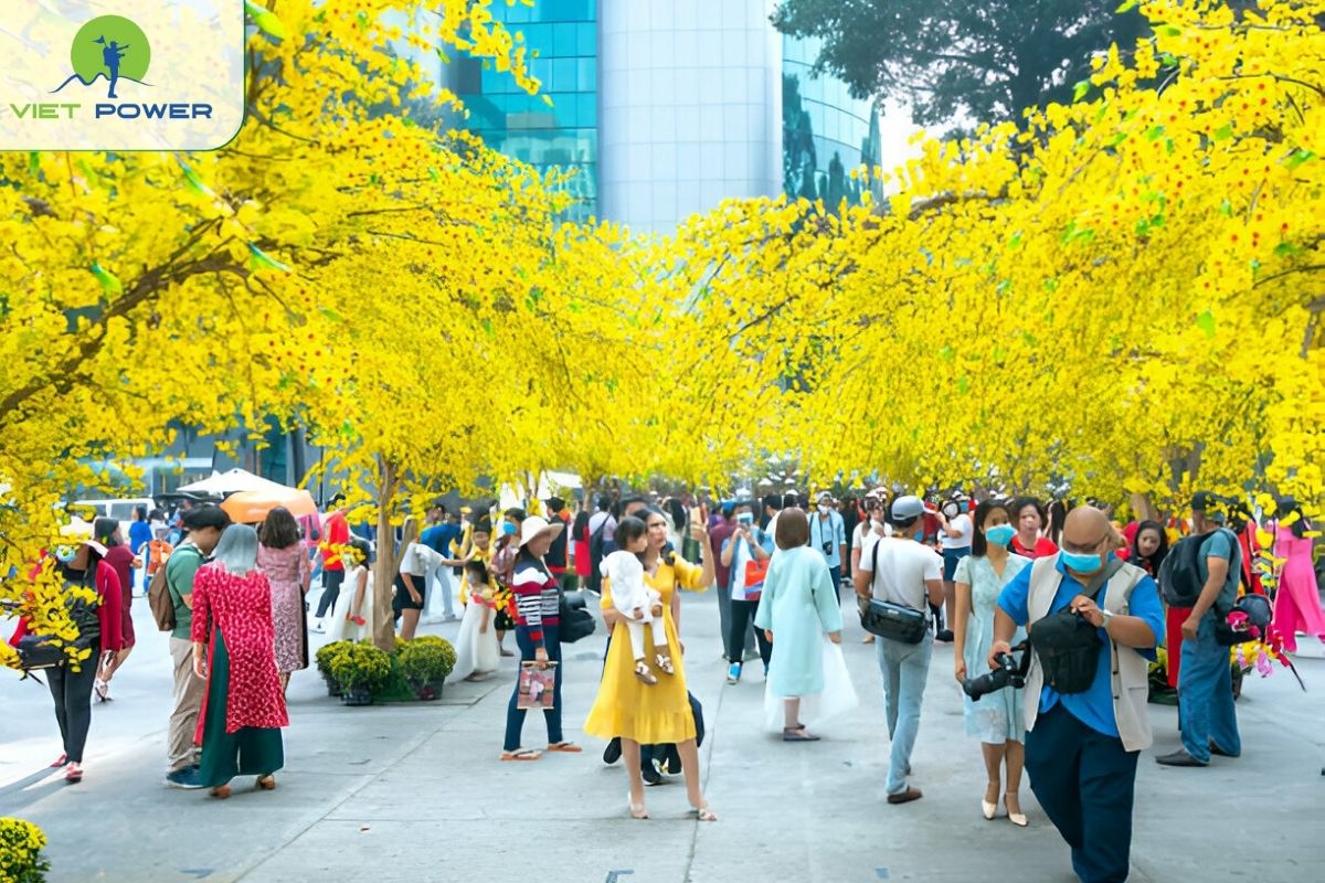 Tet Festival (January–February)