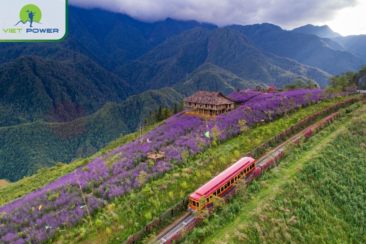 Muong Hoa Valley