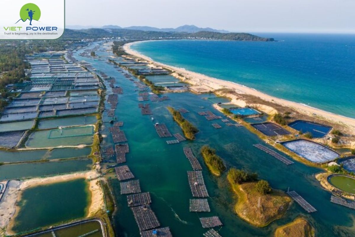 (3) Lagoons 