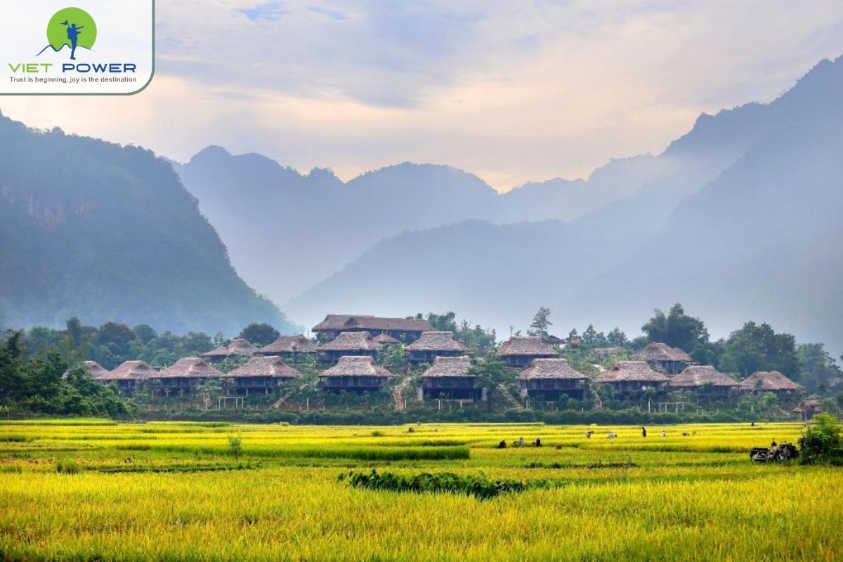 (3) Mai Chau