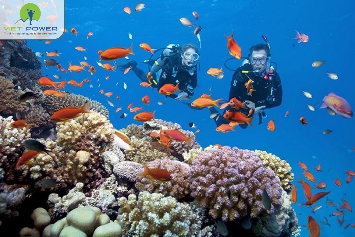 (4) Nha Trang (1)