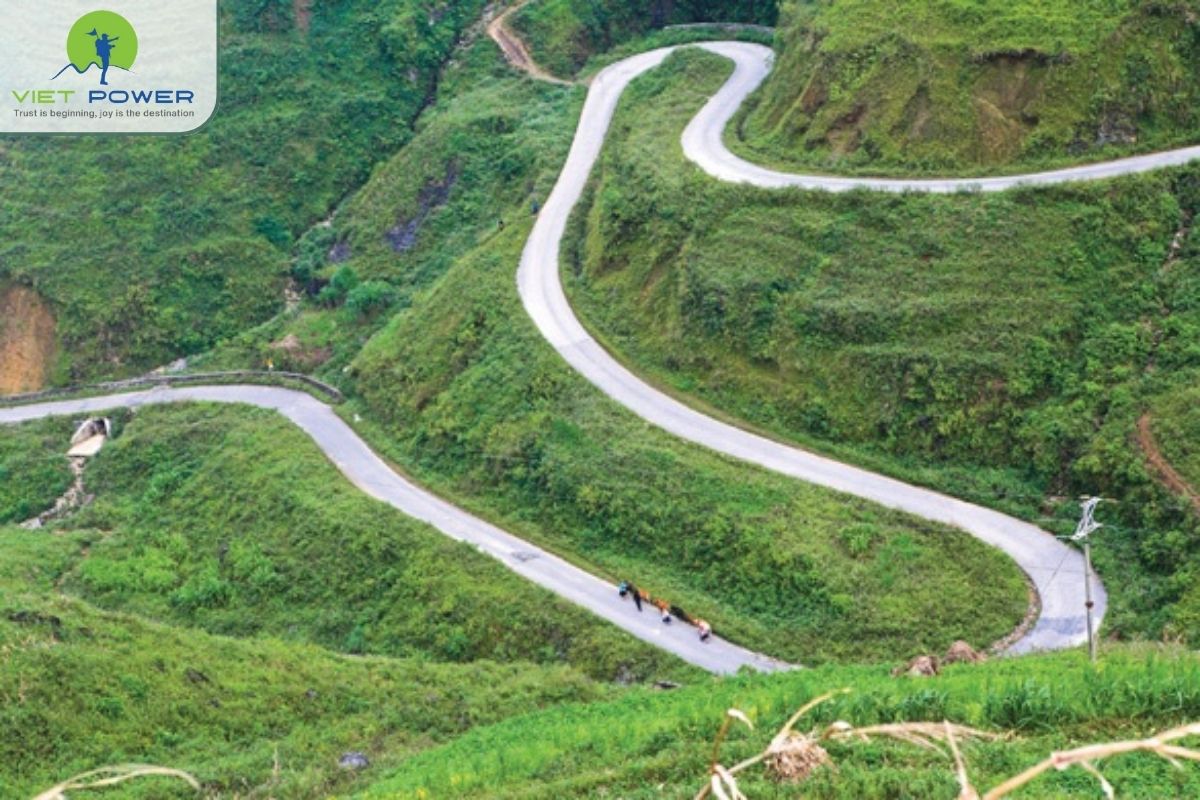 (4) Pha din pass