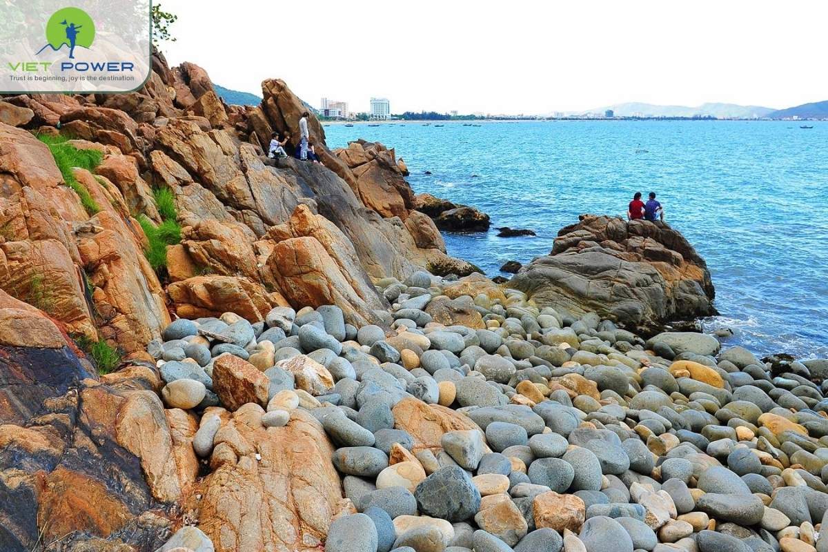 (5) Quy Nhon