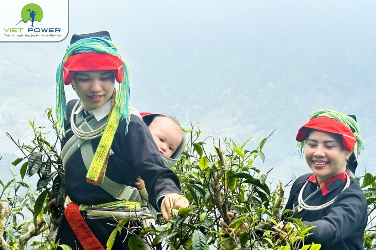 (6) Tay Con Linh