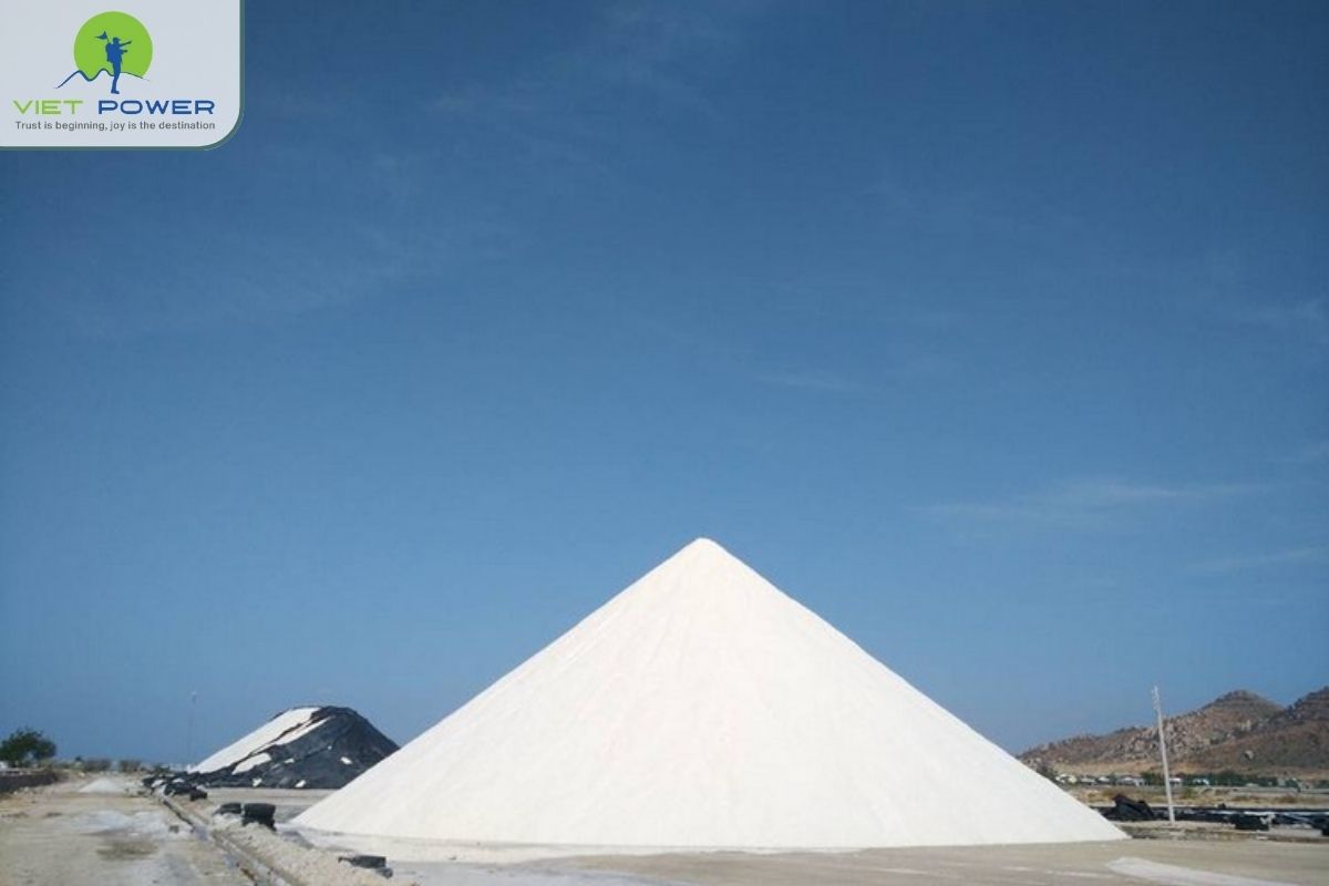 (7) Salt