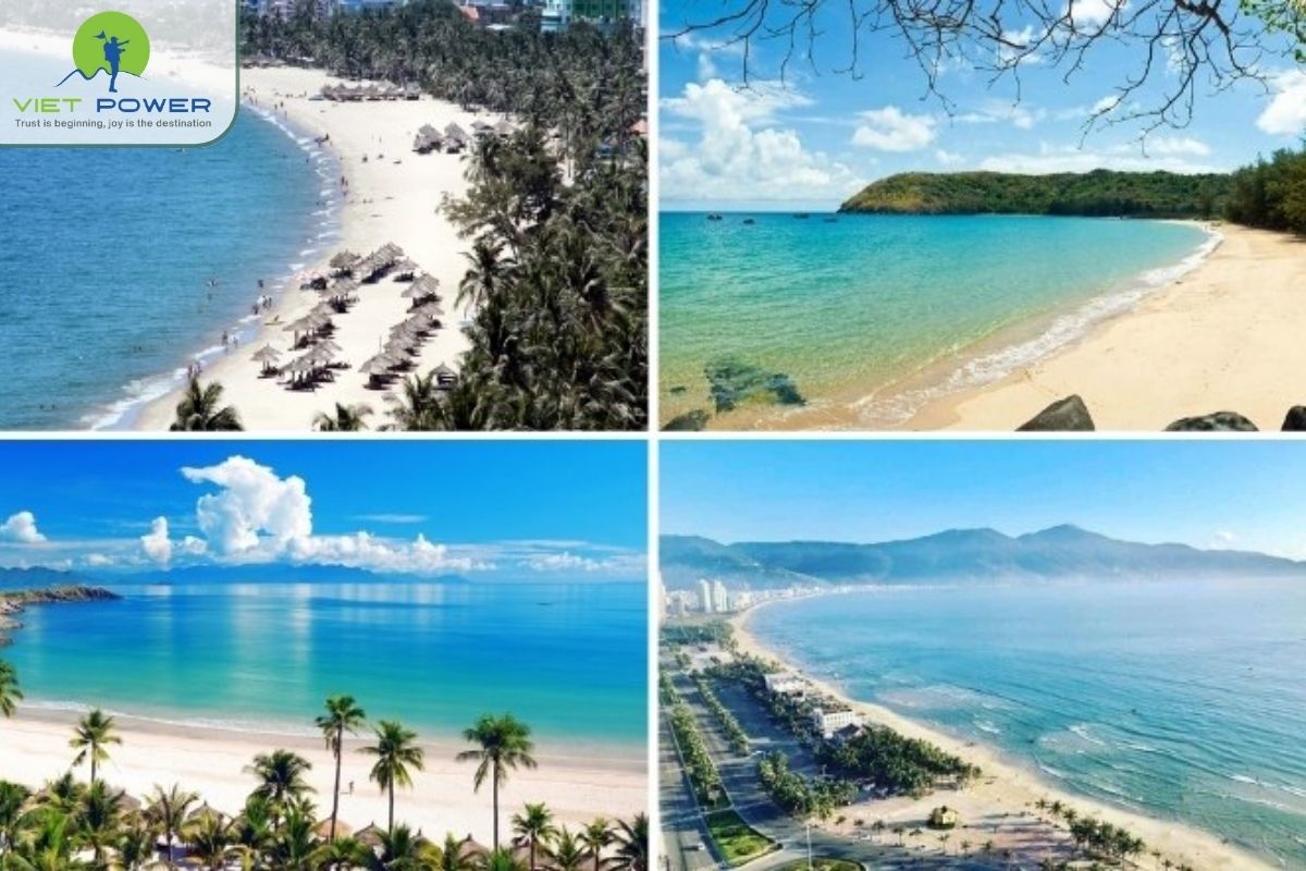 (8) Beach
