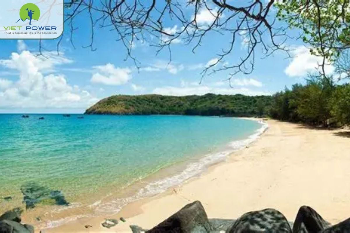 (8) Beach