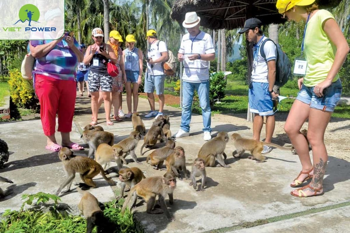 Monkey Island (Hon Lao)