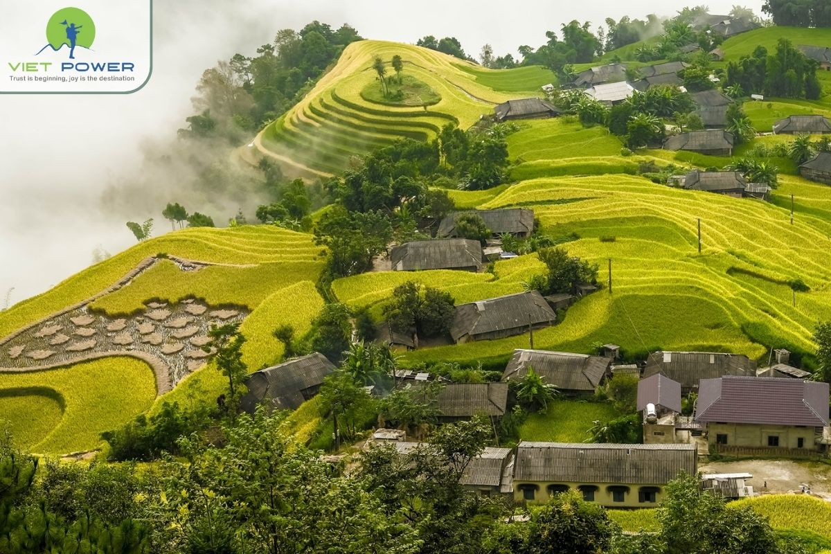 Best Areas to See the Spring Terraces