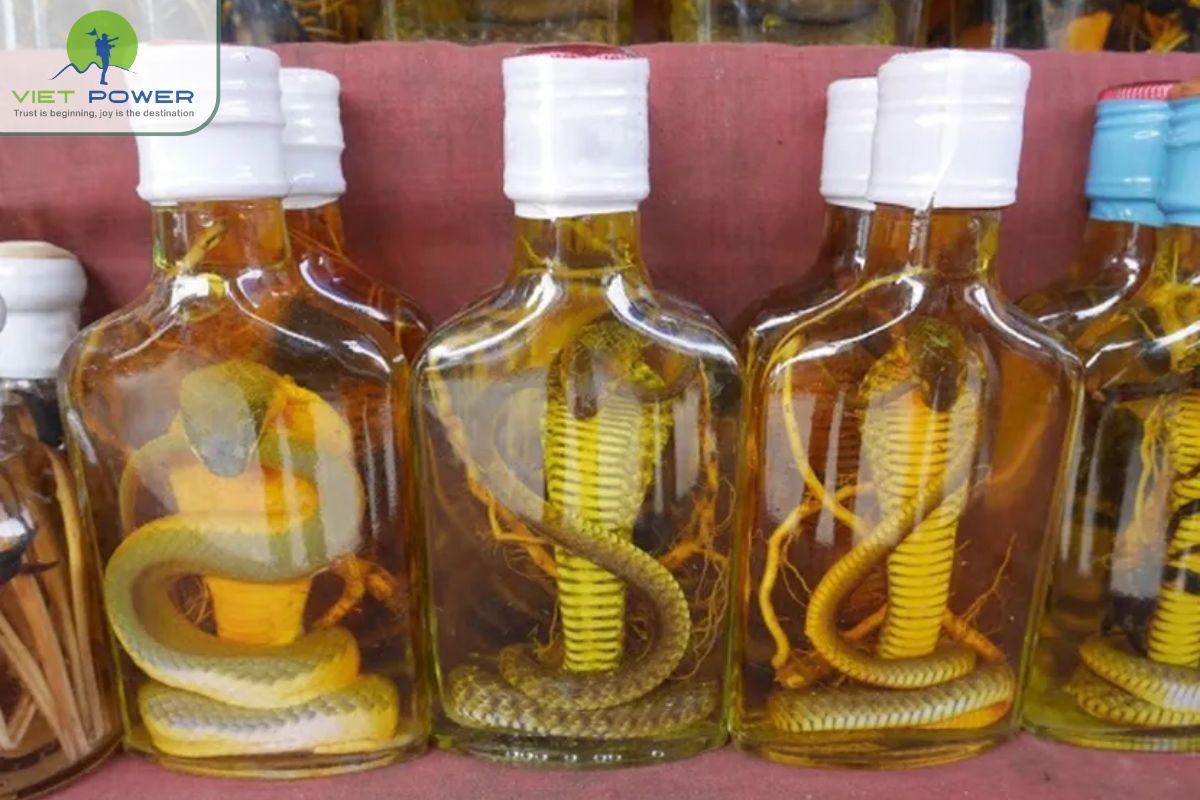 Best Souvenirs to Buy in Vietnam (10)