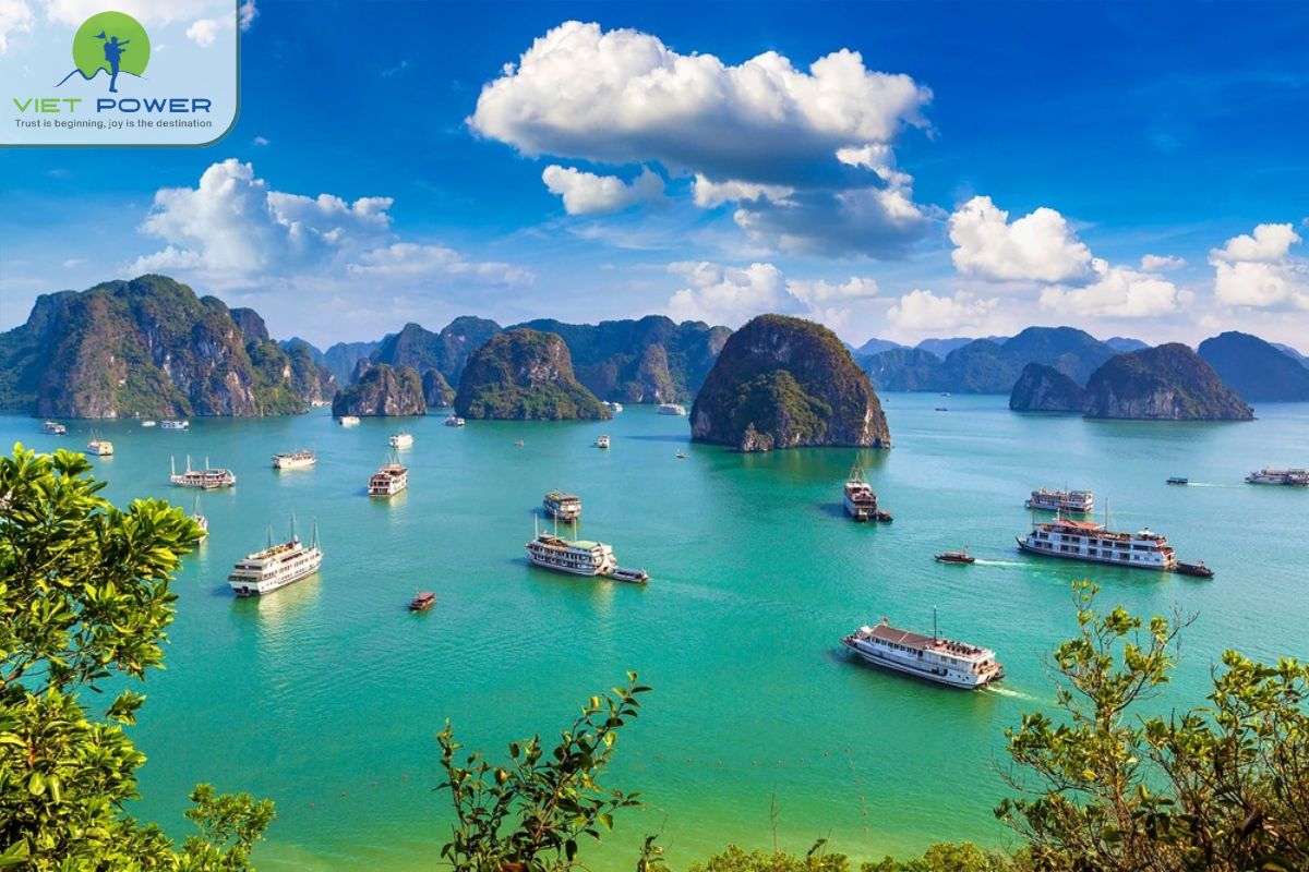 Cat Ba Island (7)