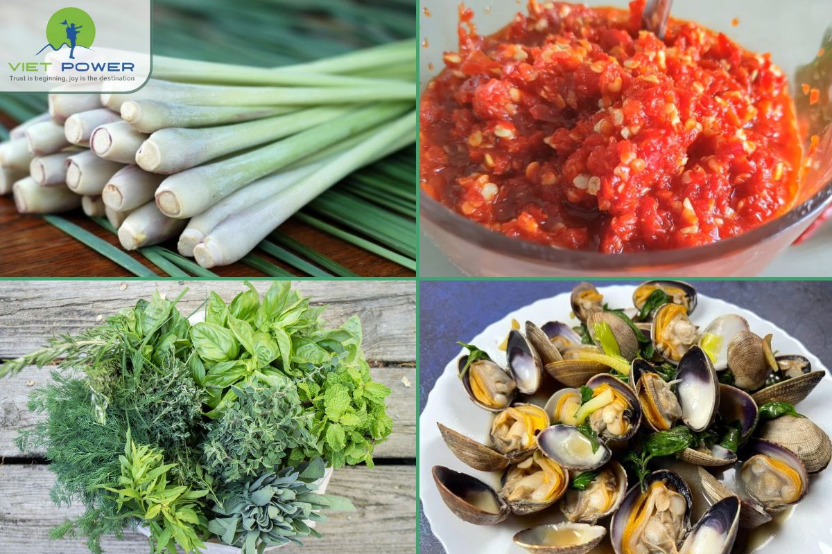 Central Vietnam - Discovering the Bold Flavors (16)