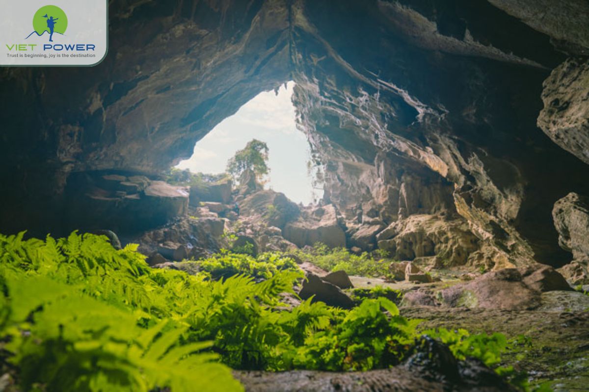 Full-Day Tu Lan Cave Expedition (3)