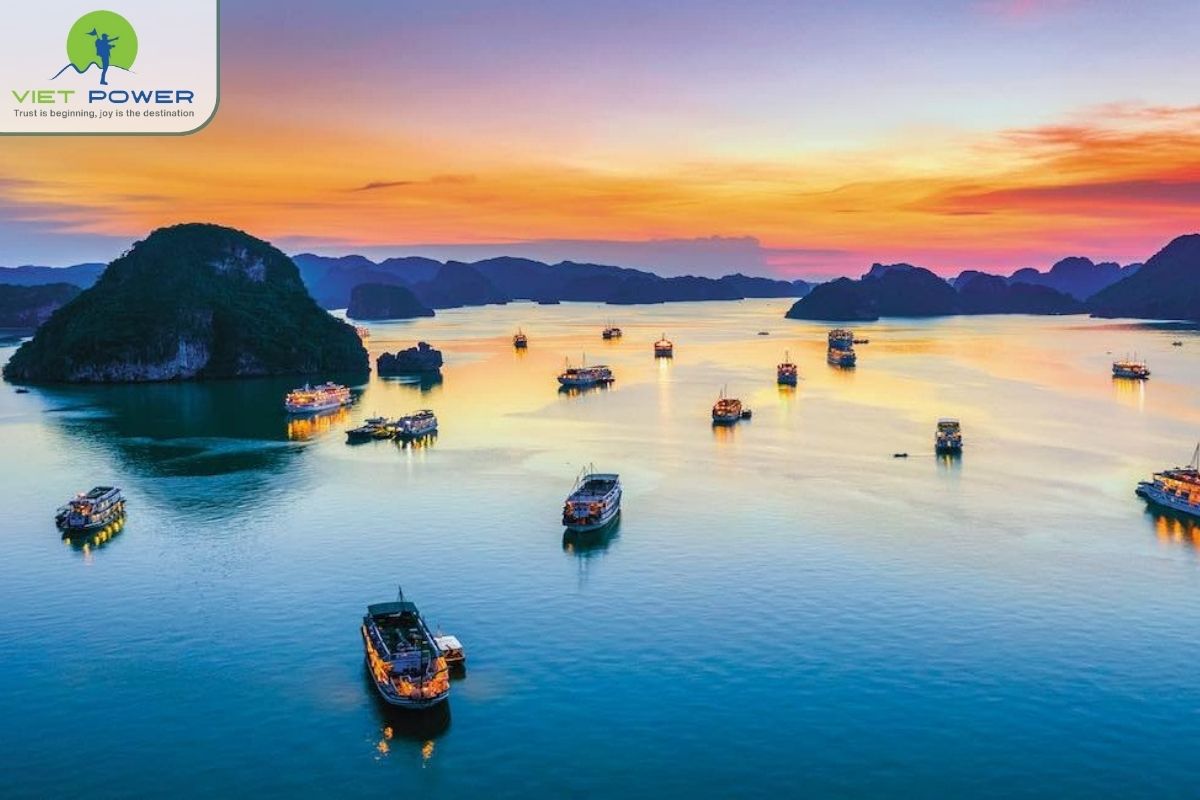 Ha Long Bay The Complete Guide to Vietnam's Natural Wonder (4)
