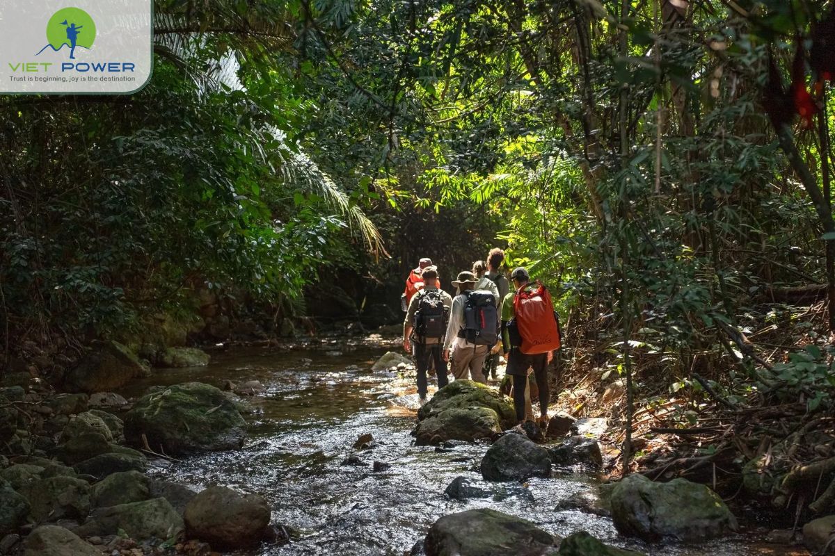 Jungle Trekking