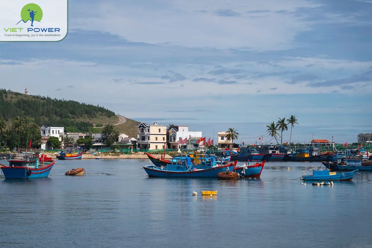Ly Son Island (8)