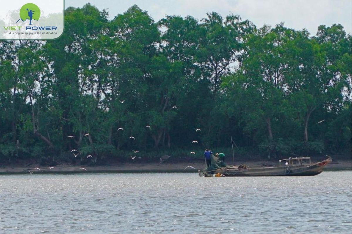 Mangrove ecosystem