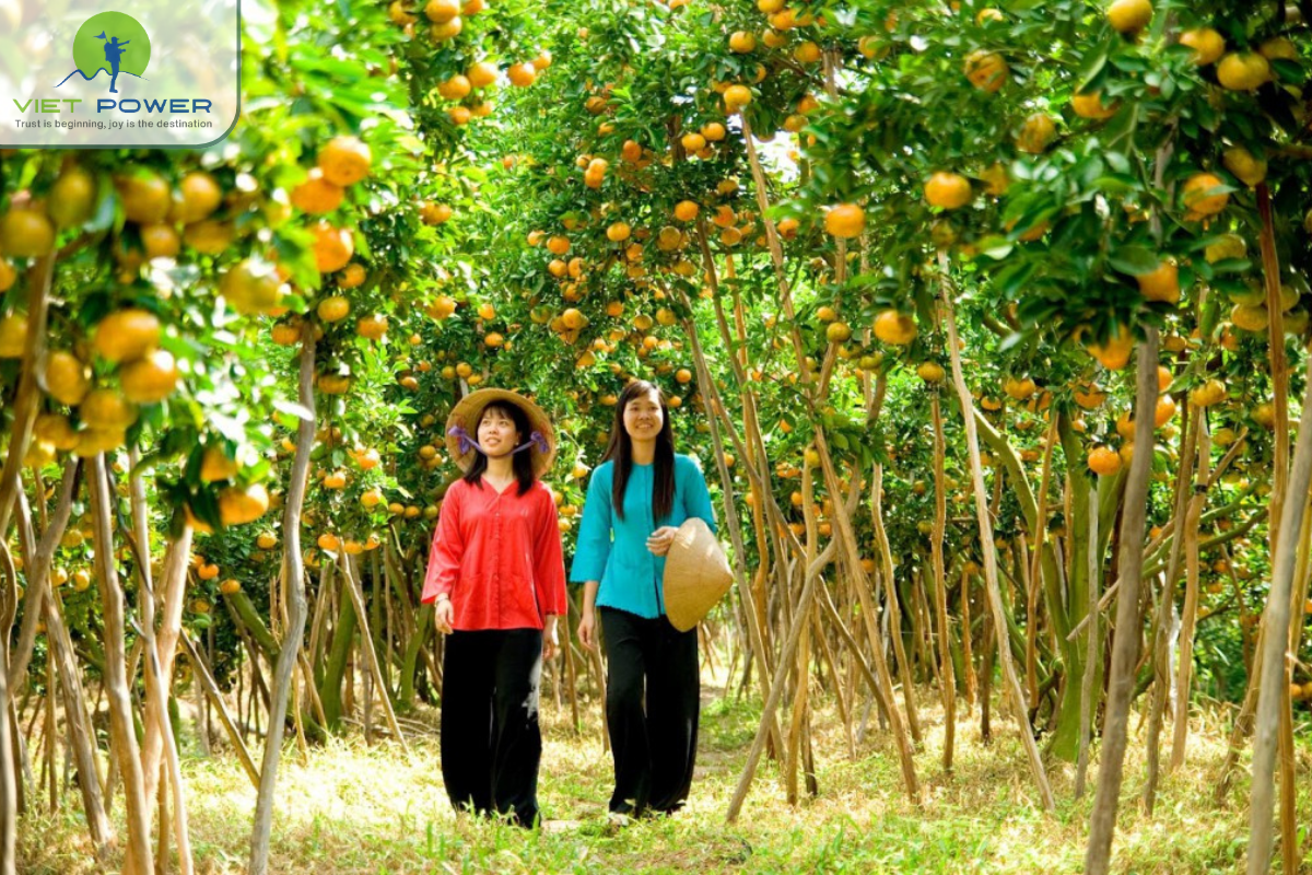 Mekong delta vietnam(1)