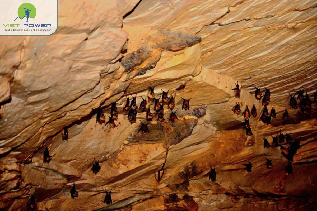 Puong Cave (8)