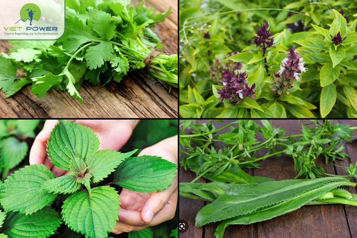 Review Vietnam Cuisine (13)