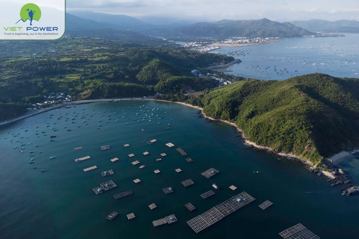 Road trip enthusiasts