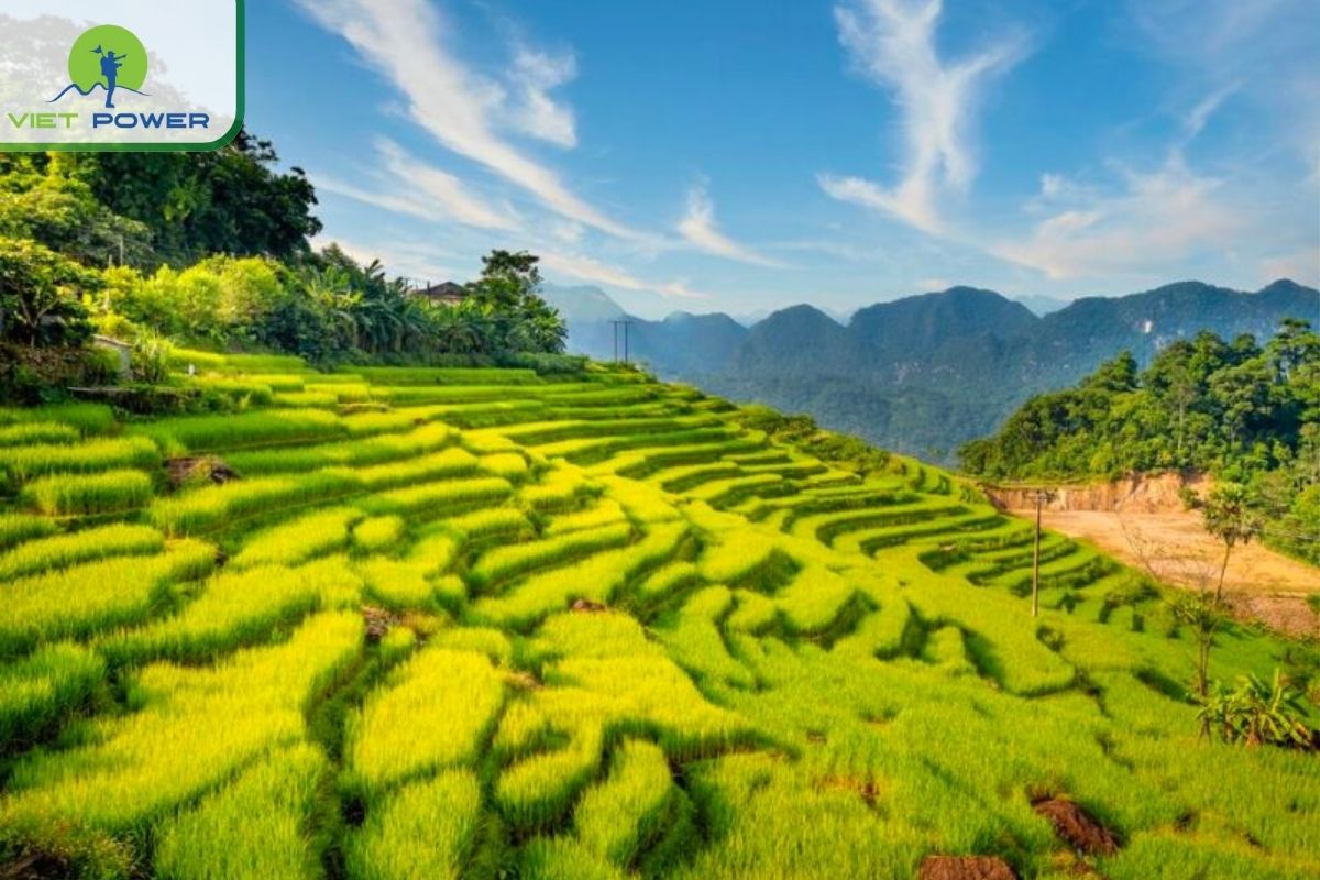 Pù Luông (Thanh Hoa)