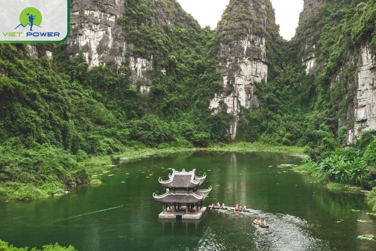 September: Rice Fields Ripening, Heavy Showers