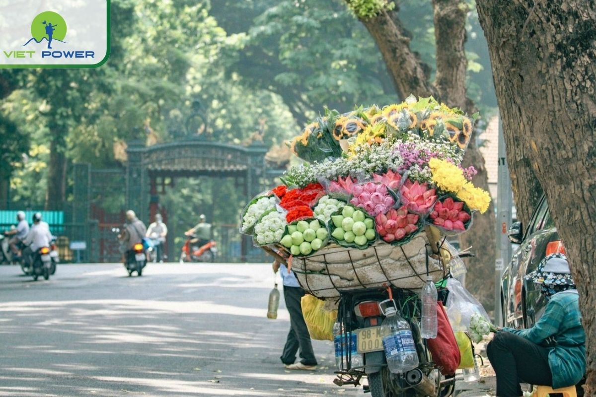  Quick Summary: Hanoi Weather Snapshot in January