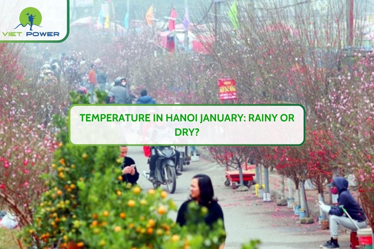 Temperature In Hanoi January: Rainy Or Dry?