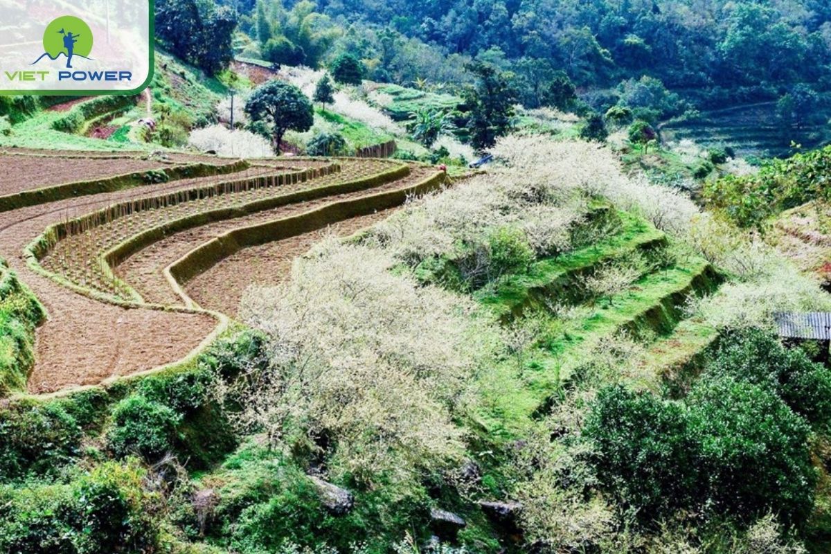 Spring (March – May): Bloom & Balance