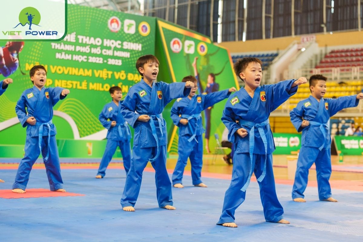 Vovinam (Việt Võ Đạo)