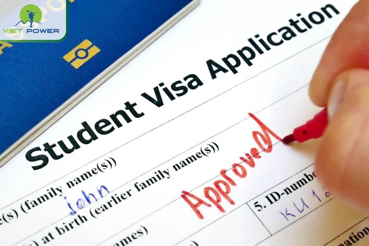 The Complete Guide to Vietnam Visa for Ireland Citizens covers everything you need to know about obtaining a Study Visa