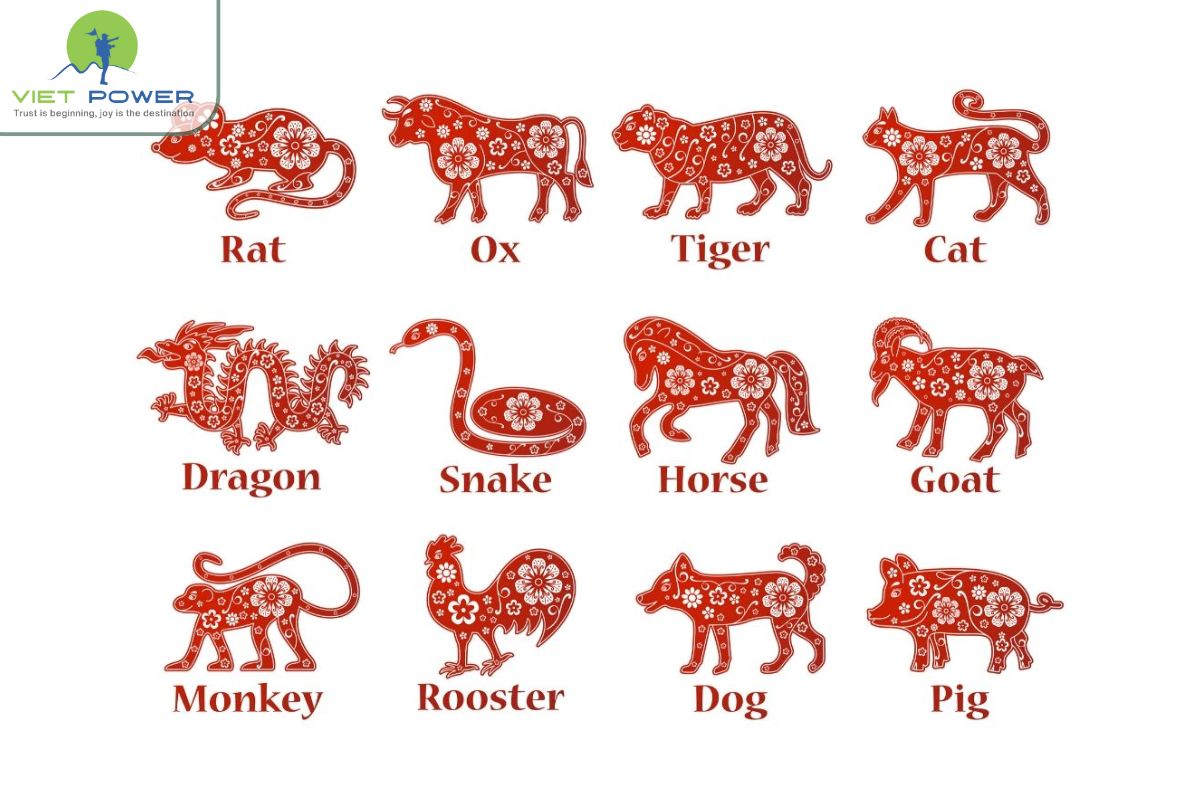 Vietnamese Zodiac (2)