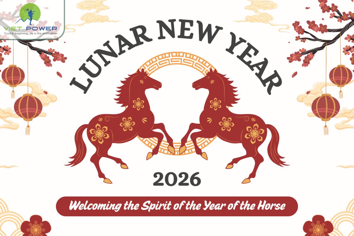 Vietnamese Zodiac (5)