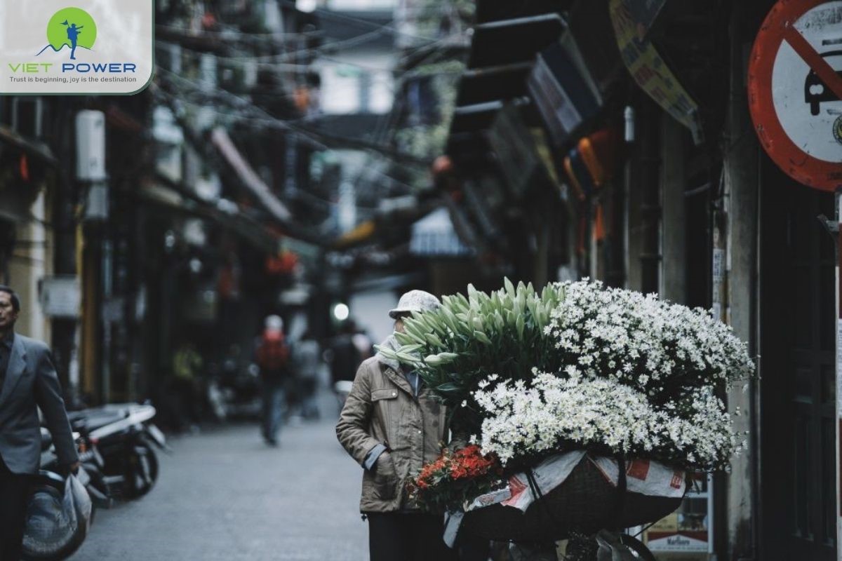 Winter in Vietnam (2)