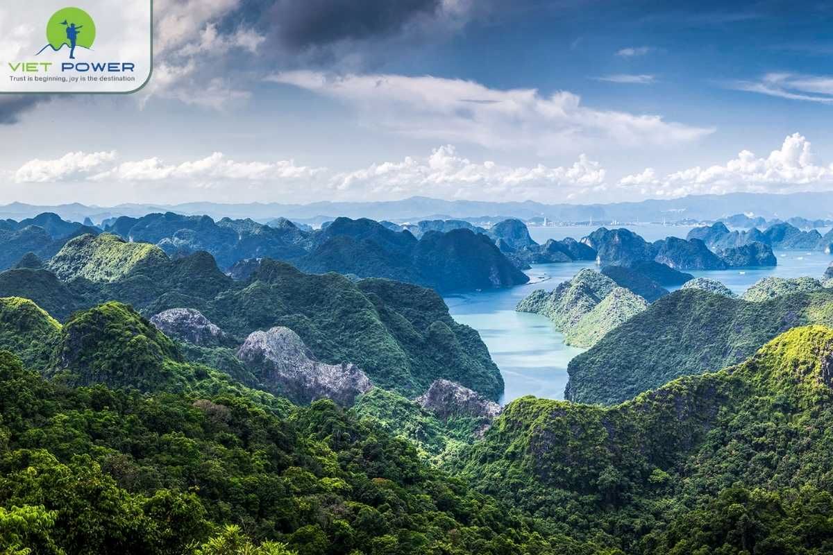 Winter in Vietnam (5)