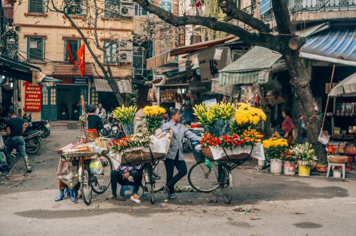 Discovering  Vietnam in 9 Days from the south to the north