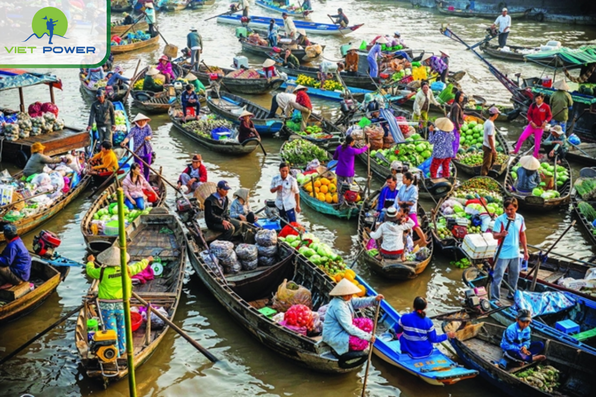 Top 9 Places To See In South Vietnam For First-Timers: Cai Rang Floating Market.  Option 2: