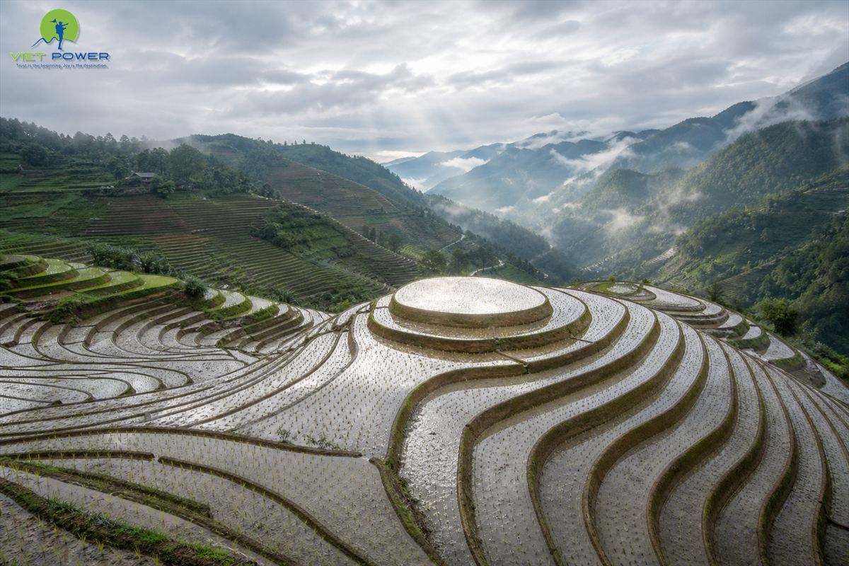 Flooded rice terraces reflecting the mountain sky during the May water season in northern Vietnam