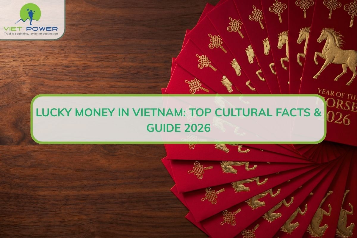 Lucky Money In Vietnam: Top Cultural Facts & Guide