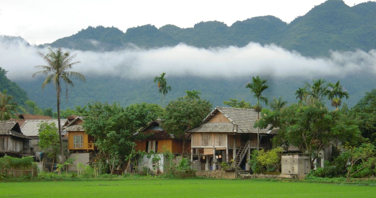 Discover the Untamed Beauty of Mai Chau in 3 Days