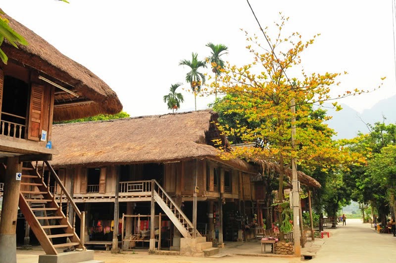 Discover the Untamed Beauty of Mai Chau in 3 Days