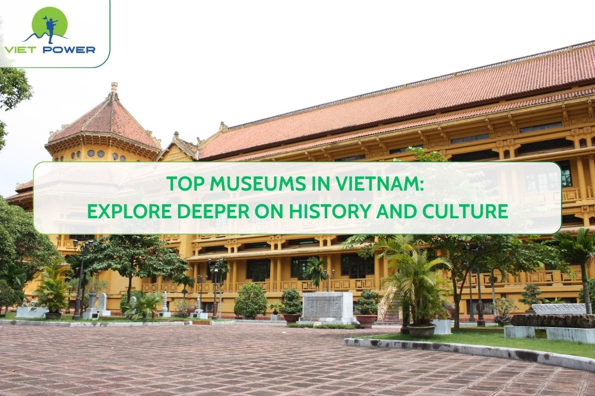 Top Museums in Vietnam: Explore Deeper on History And Culture