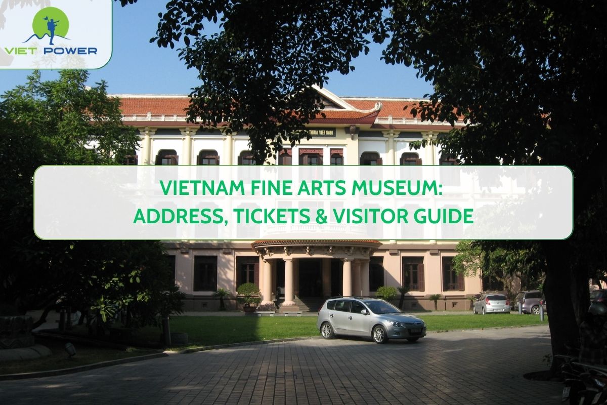 Vietnam Fine Arts Museum: Address, Tickets & Visitor Guide