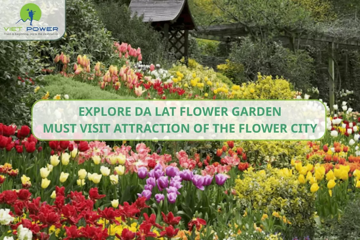 Beautiful Da Lat – Nha Trang – Mui Ne 6-Day Tour